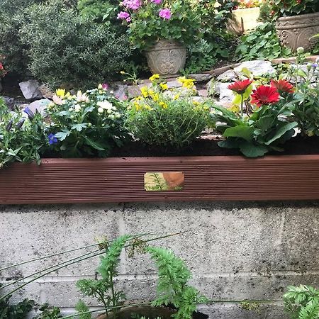 Bumble Bee Cottage Plymouth Extérieur photo