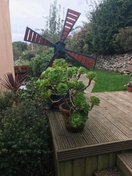 Bumble Bee Cottage Plymouth Extérieur photo