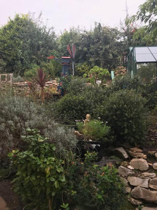 Bumble Bee Cottage Plymouth Extérieur photo