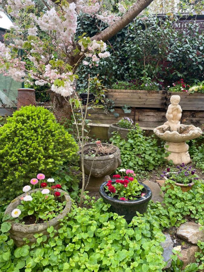 Bumble Bee Cottage Plymouth Extérieur photo